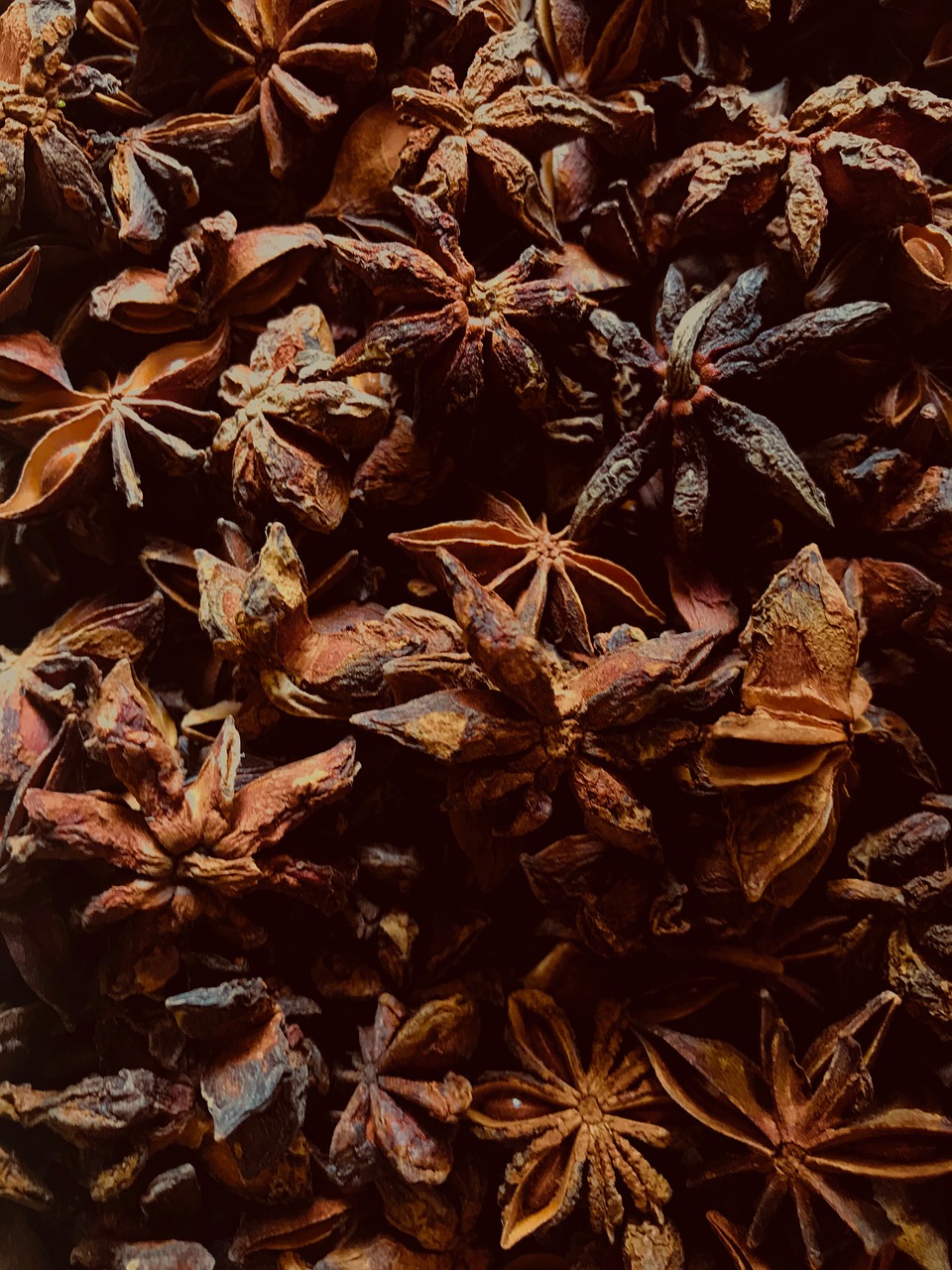 anise  starry  spices free photo