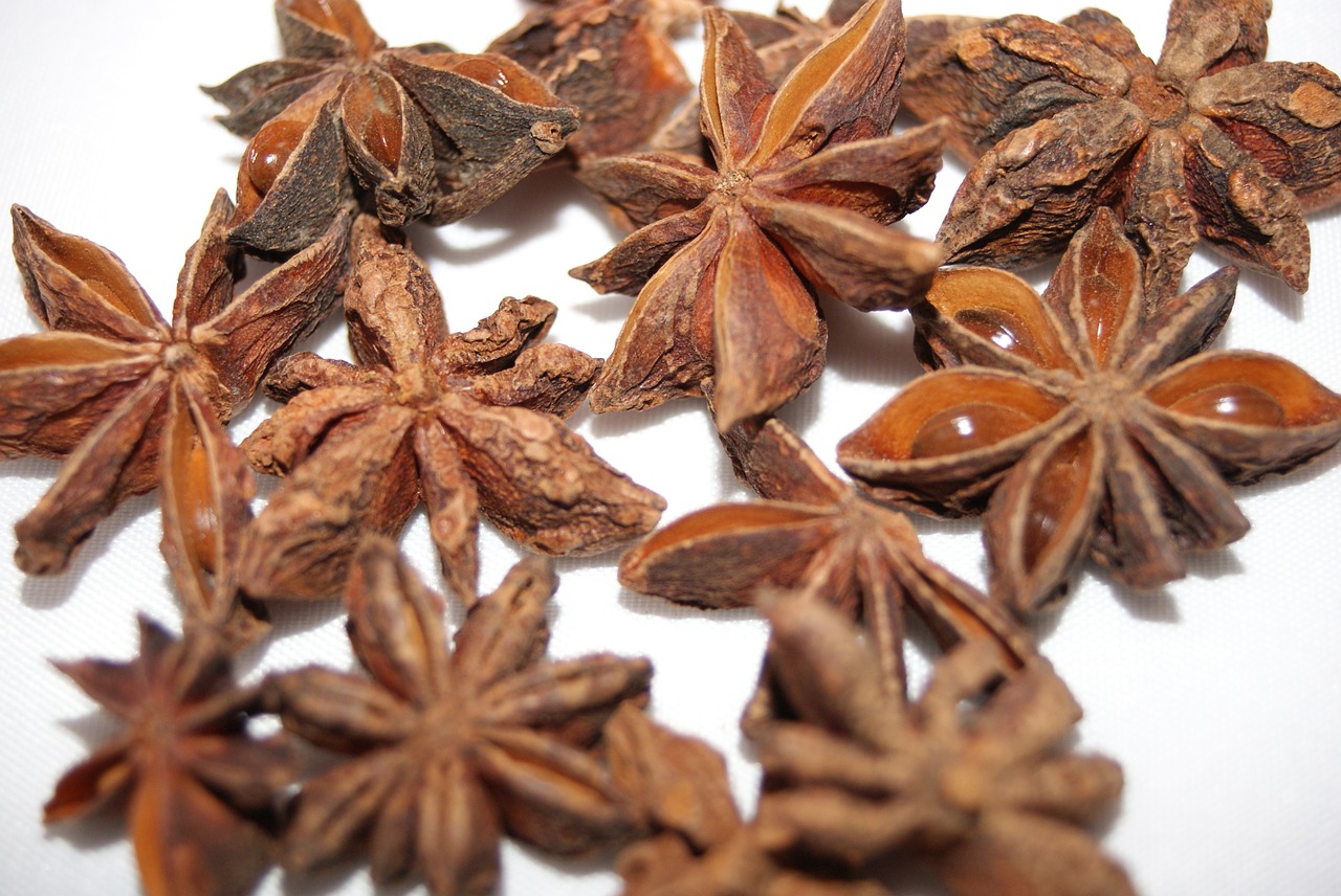 anise star anise spice free photo