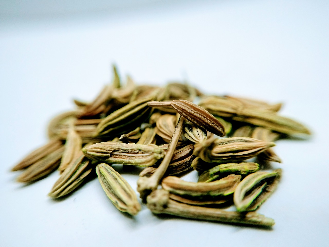 aniseed fennel  spices  food free photo