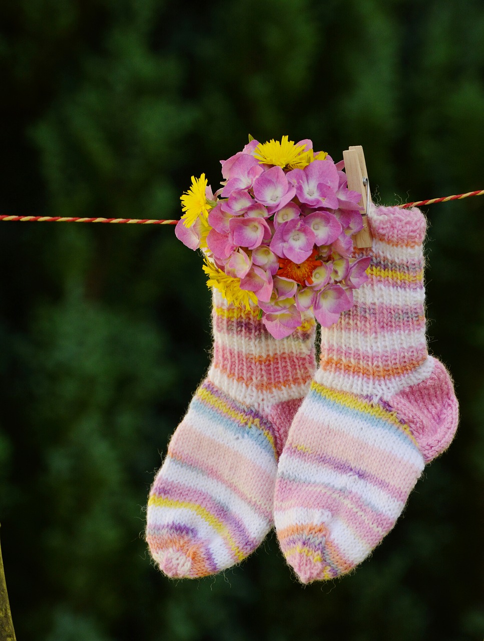 ankle socks children socks knitted free photo