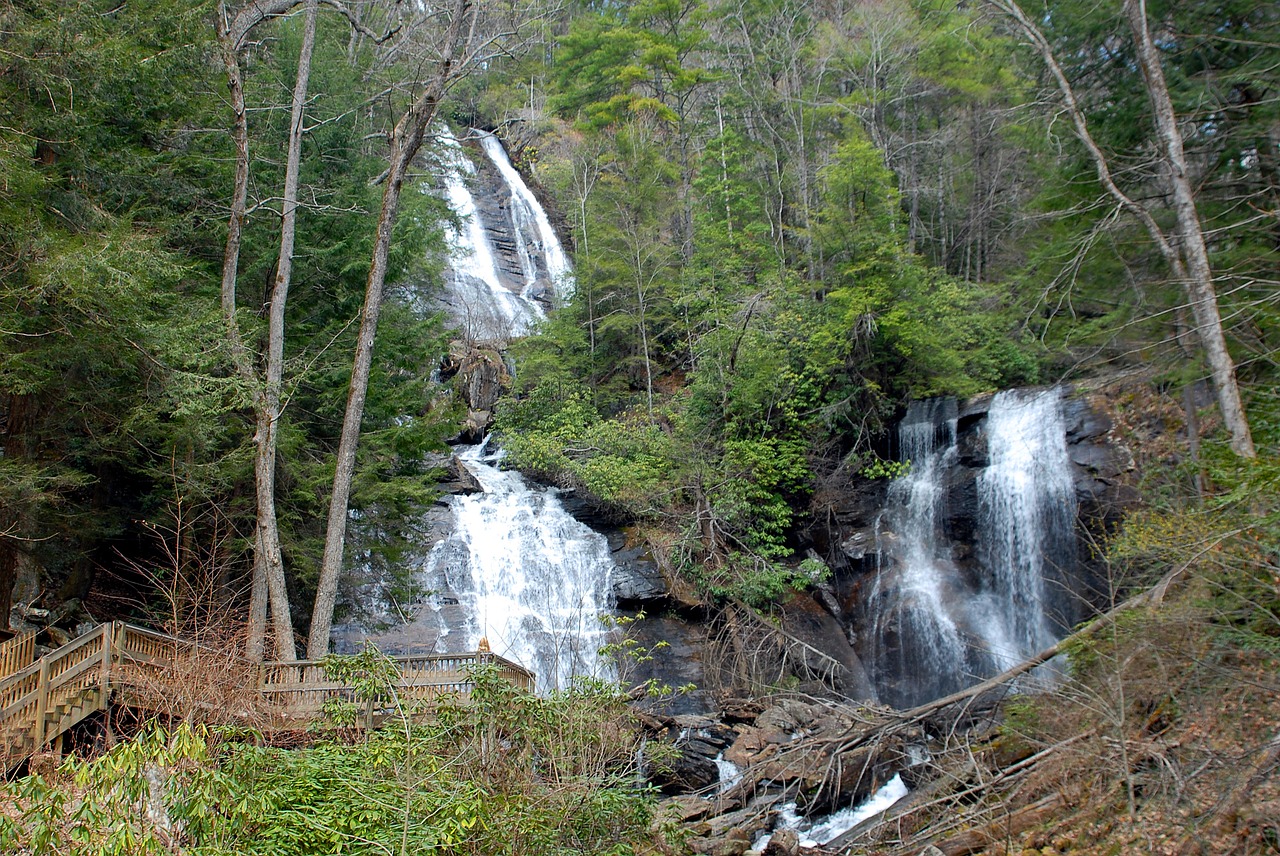 anna ruby falls falls waterfall free photo