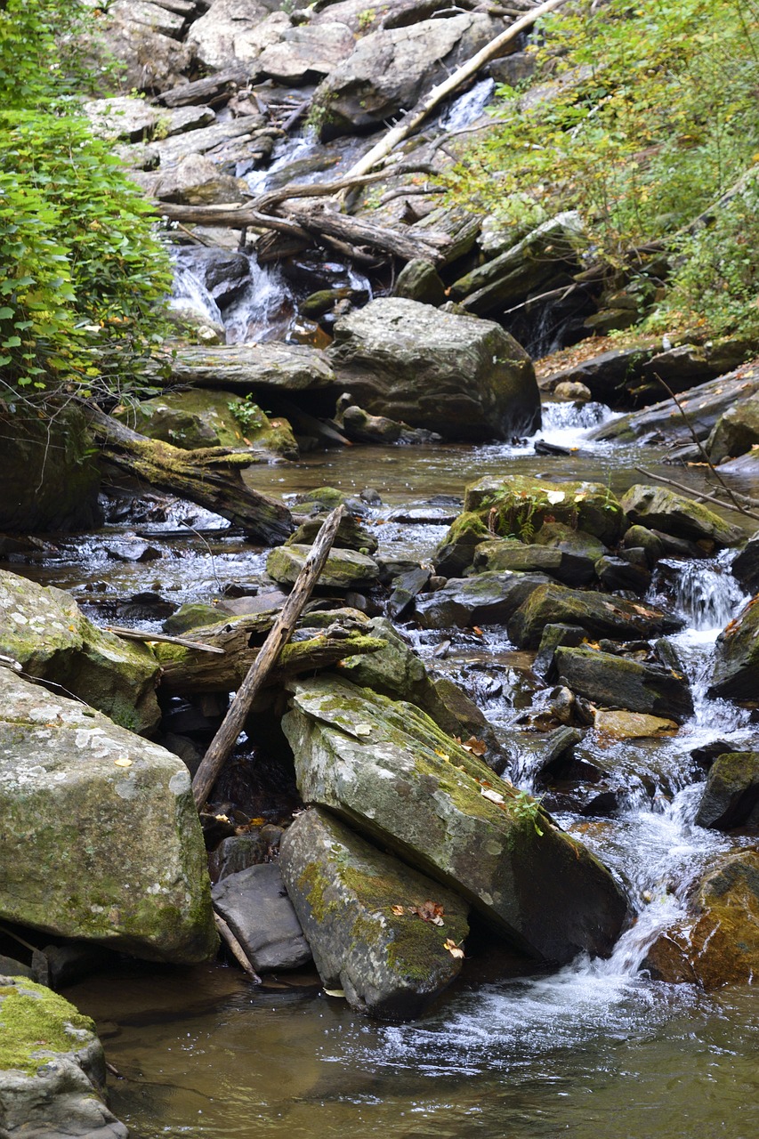 anna ruby falls creek helen free photo