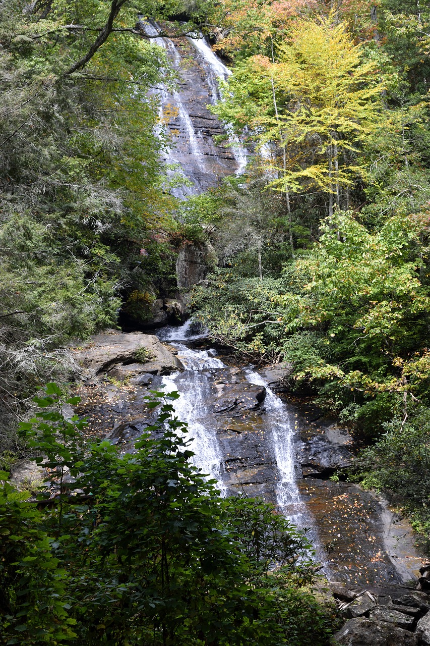 anna ruby falls creek helen free photo