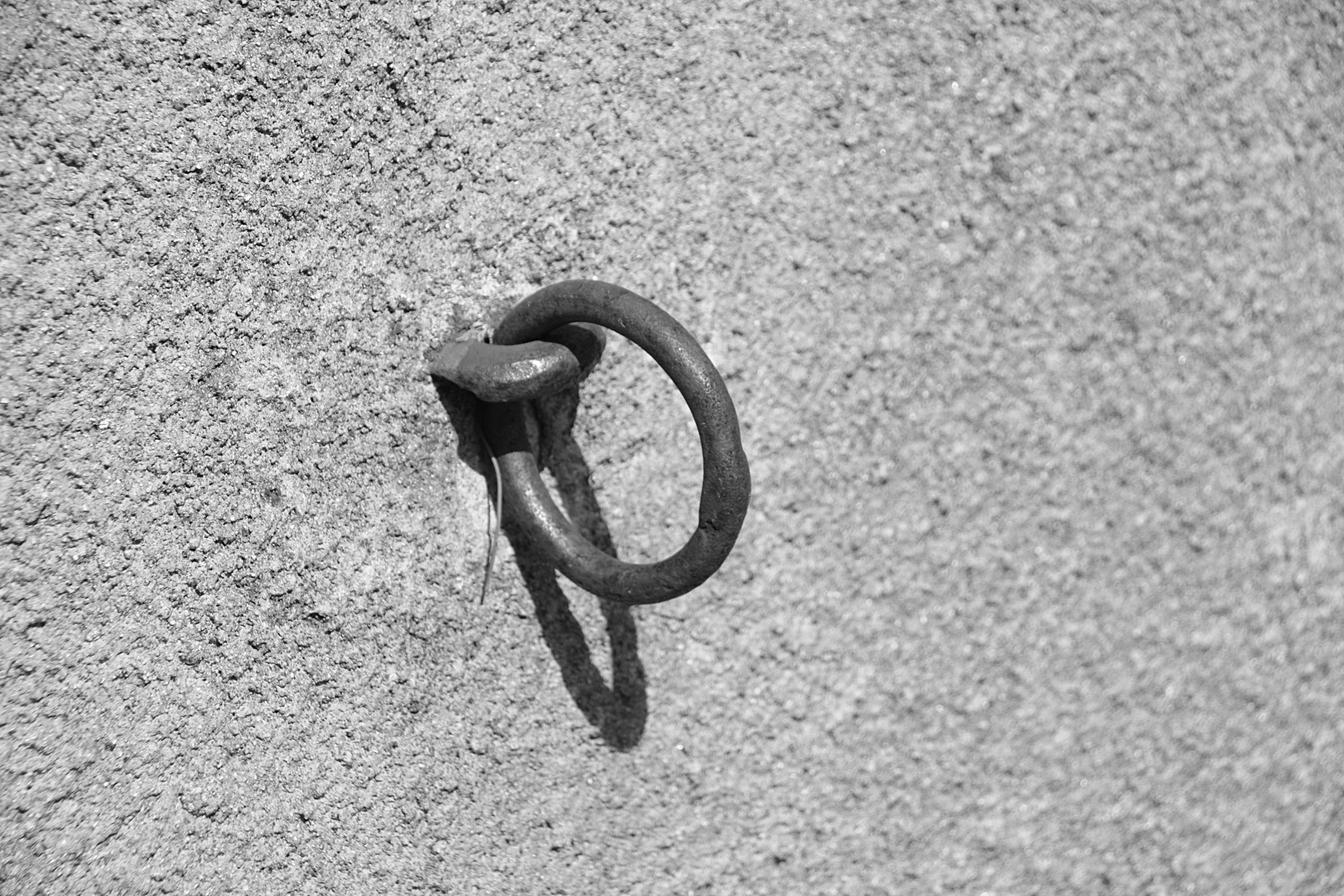 ring metal metallic free photo