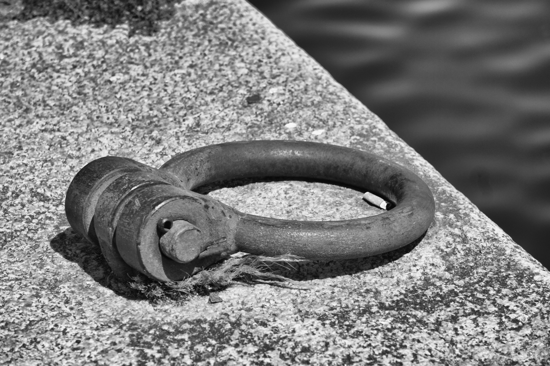 ring black white dock free photo