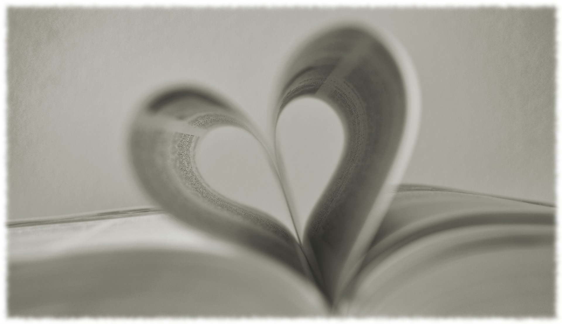 heartbook heart book free photo