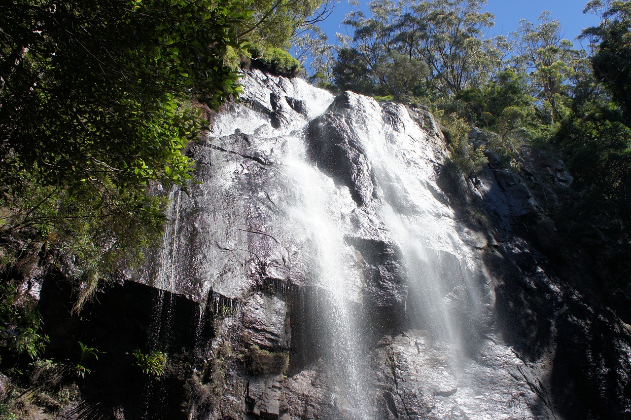 another waterfall springbrook national park queensland australia free photo