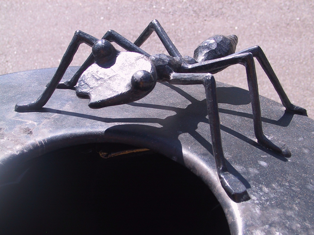ant artwork crap bucket free photo