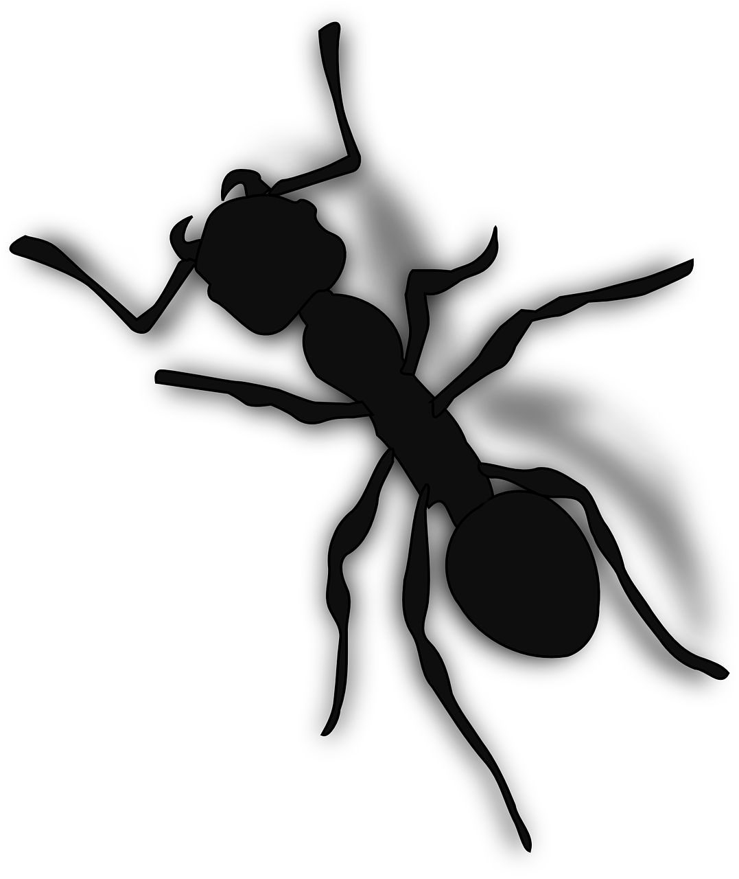 ant bug silhouette free photo