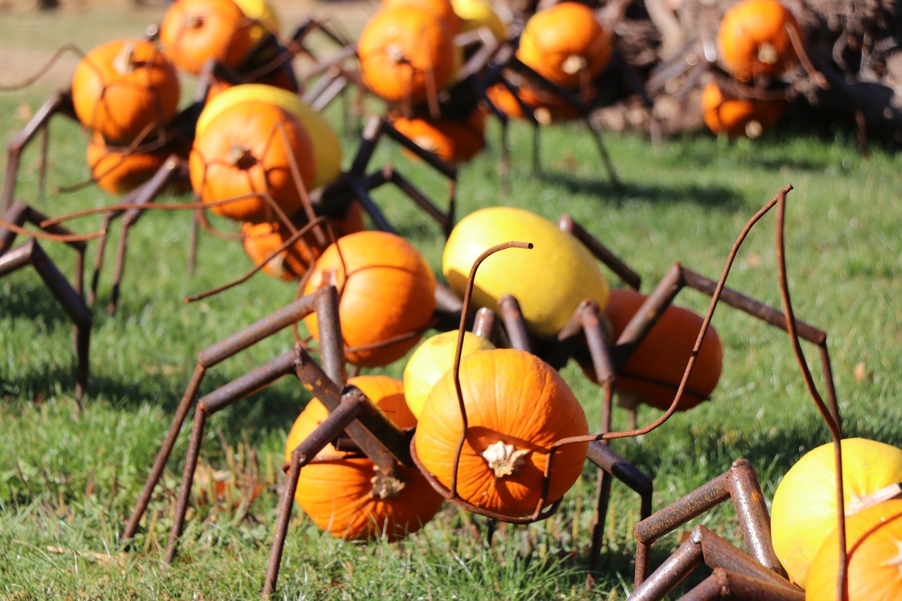 ant  autumn  pumpkin free photo