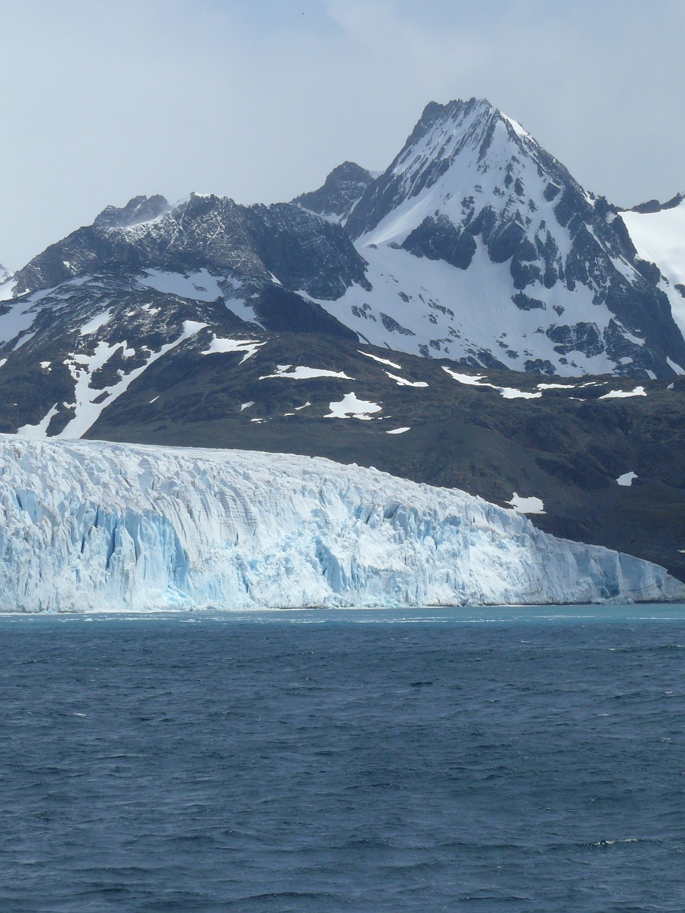 antarctica southern ocean glacier free photo