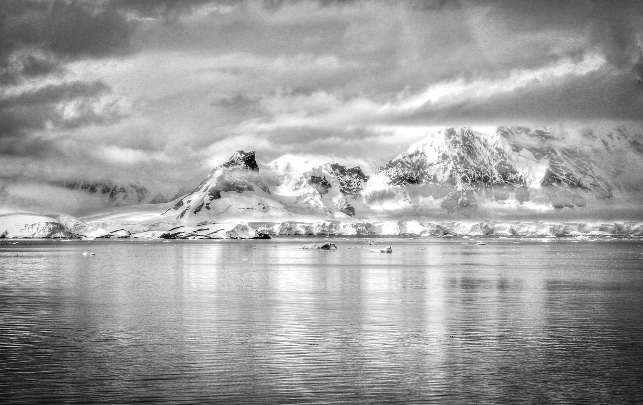 antarctica black and white nature free photo