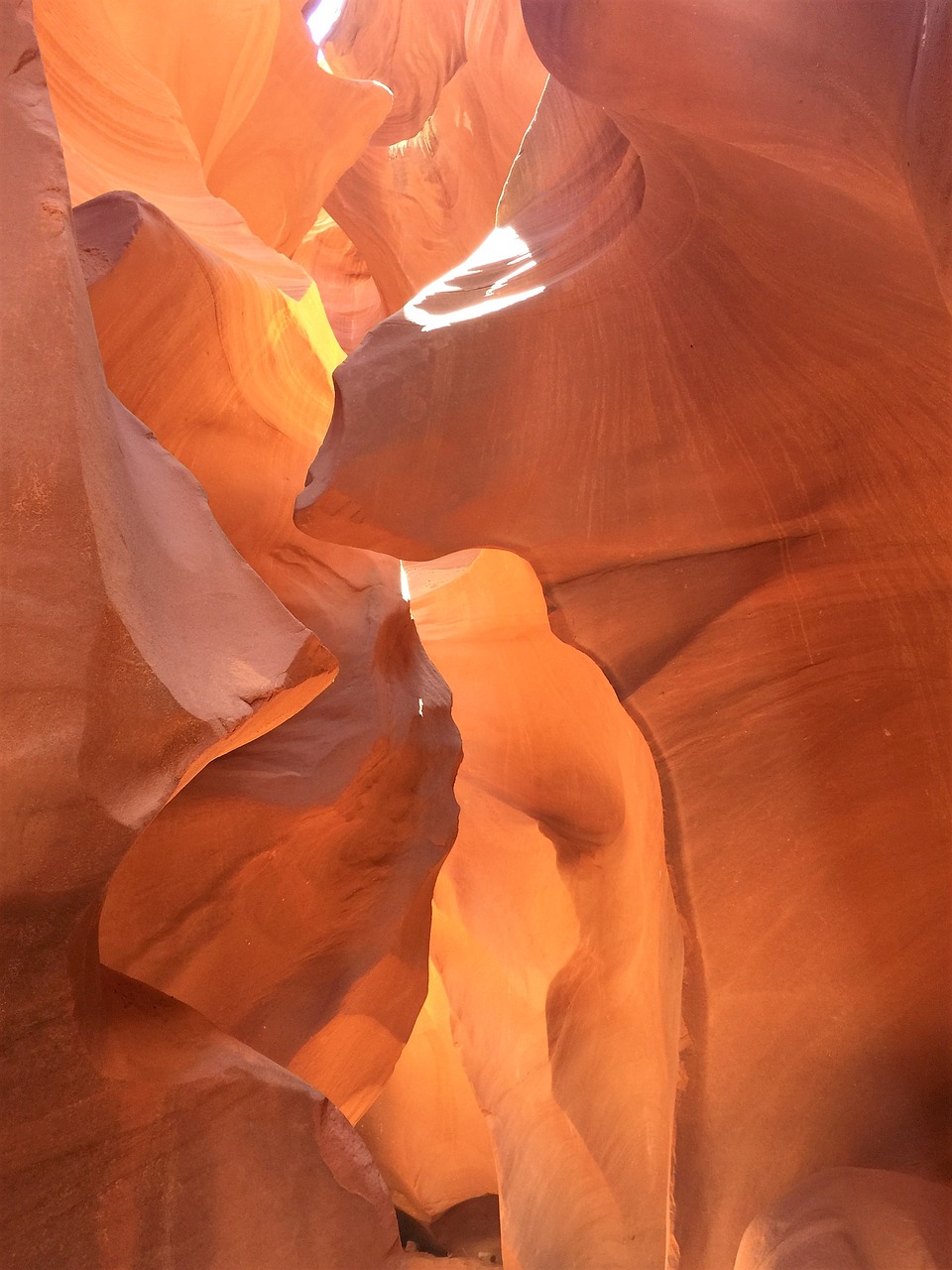 antelope canyon  usa  canyon free photo