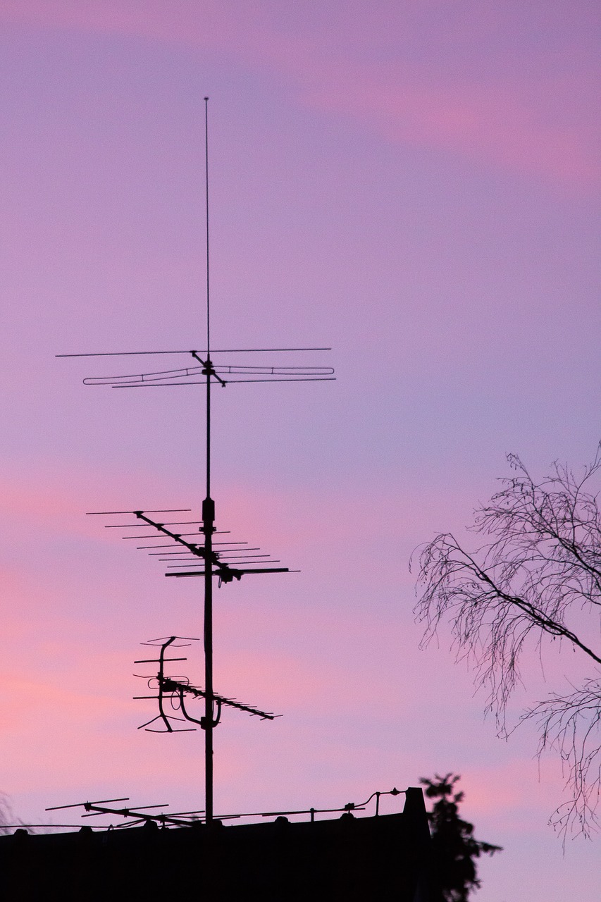 antenna tree cloud free photo