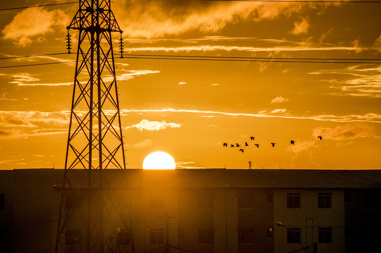 antenna sunset birds free photo