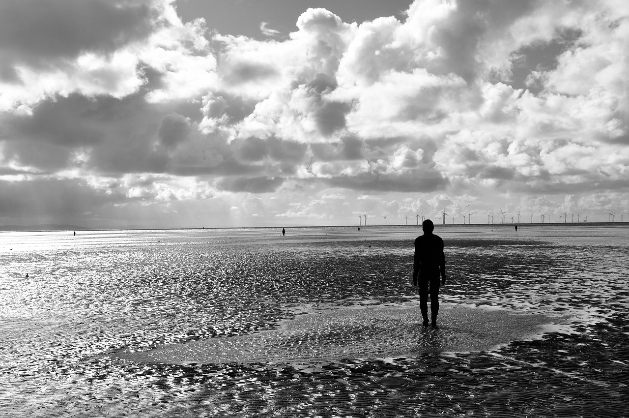 anthony gormley  sculpture  crosby free photo