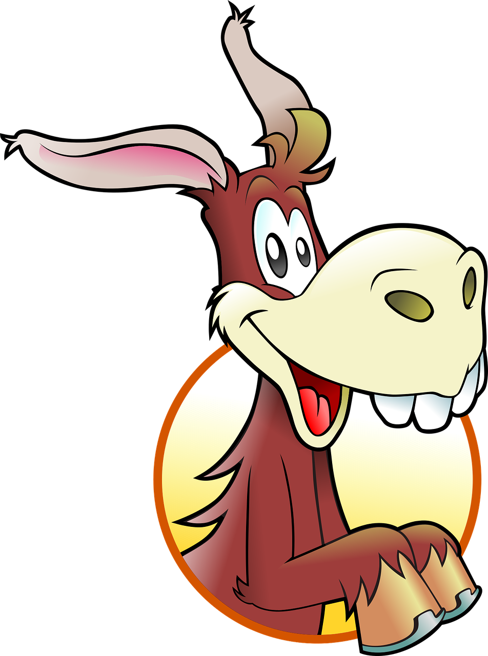 anthropomorphized animals donkey happy free photo