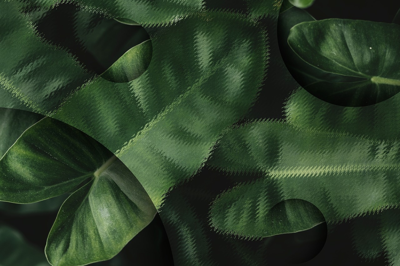 anthurium  backdrop  background free photo