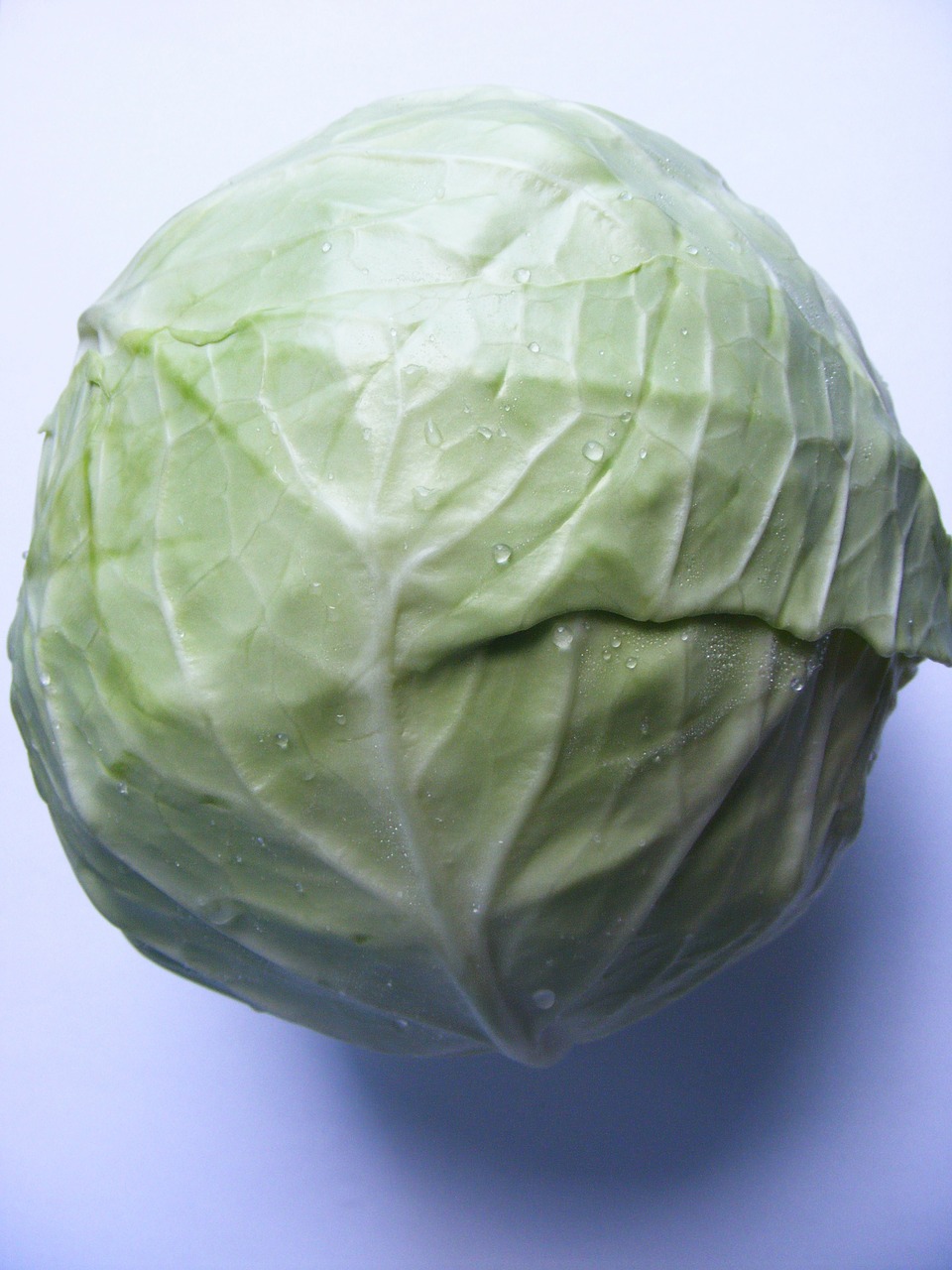 anticancer antioxidant cabbage free photo