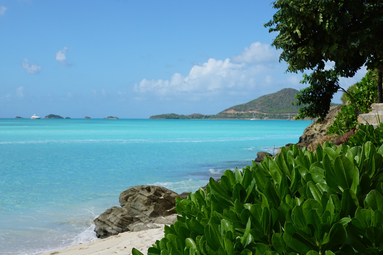 antigua caribbean beach free photo