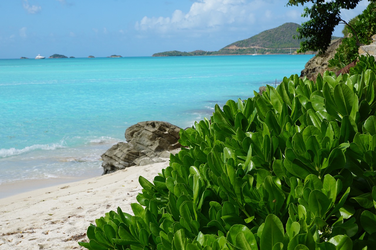 antigua caribbean beach free photo