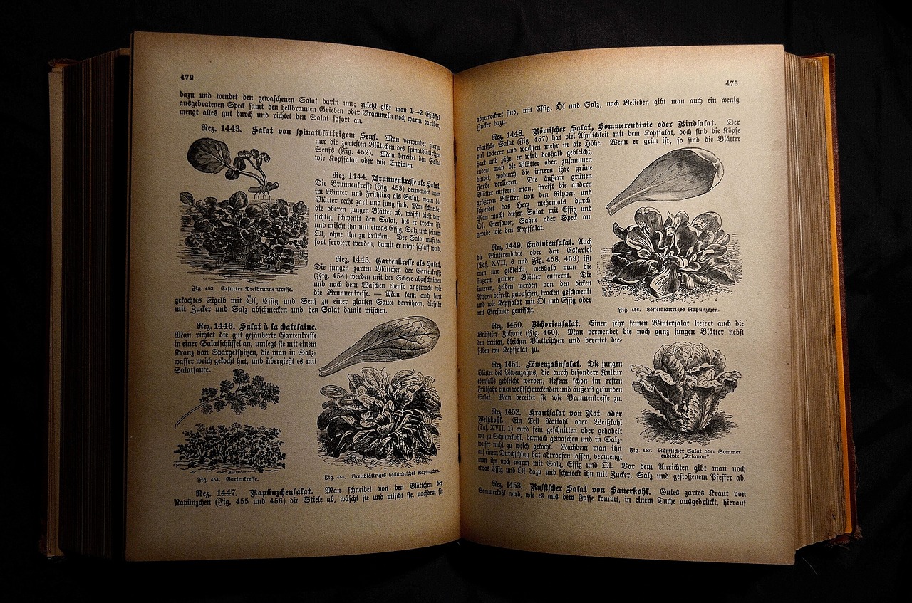 antiquariat old cookbook cookbook free photo