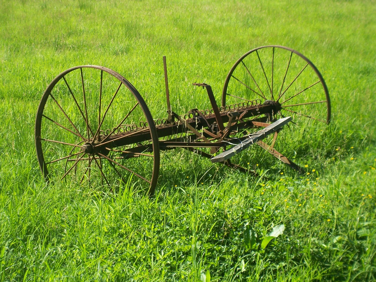 antique farm equipment free photo