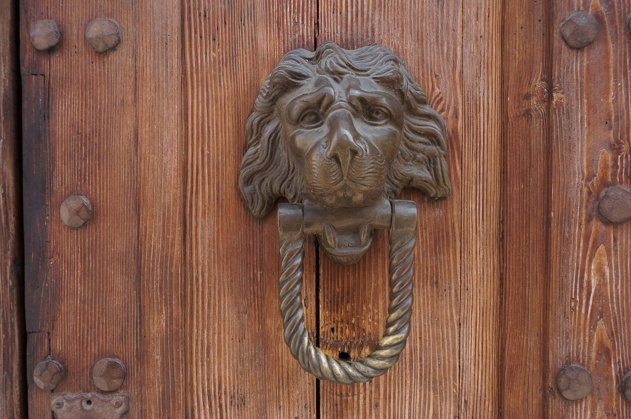 antique door  door knocker  iron free photo