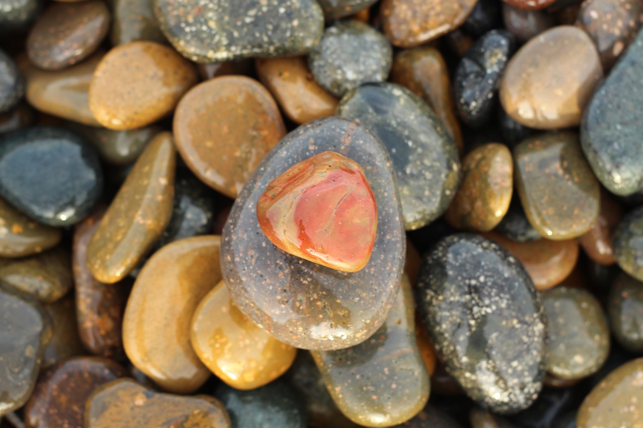 antique jelly binh thuan the rocky free photo