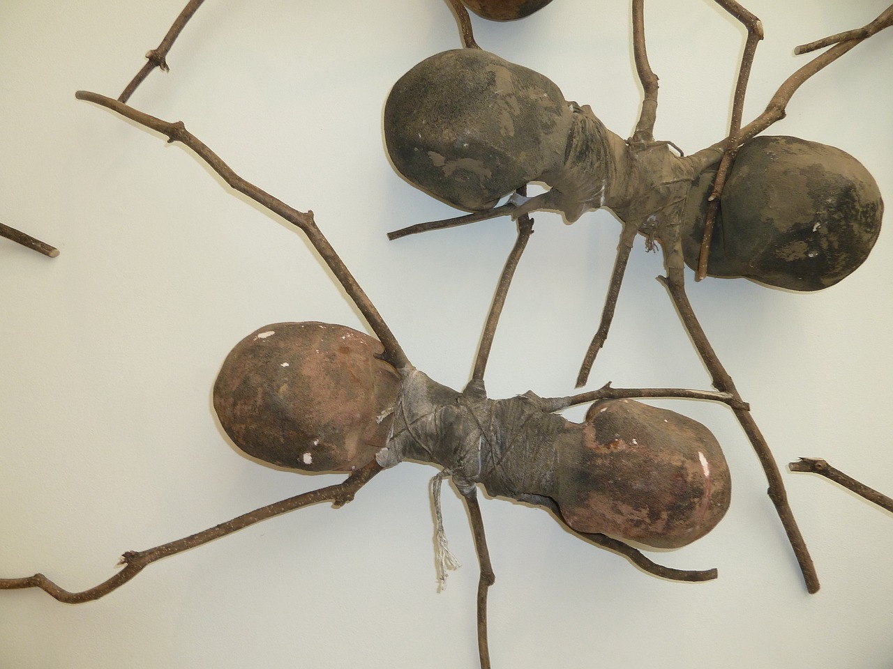 ants wooden ants ant art free photo
