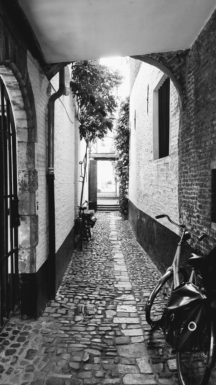 antwerp vlaeykensgang old town free photo