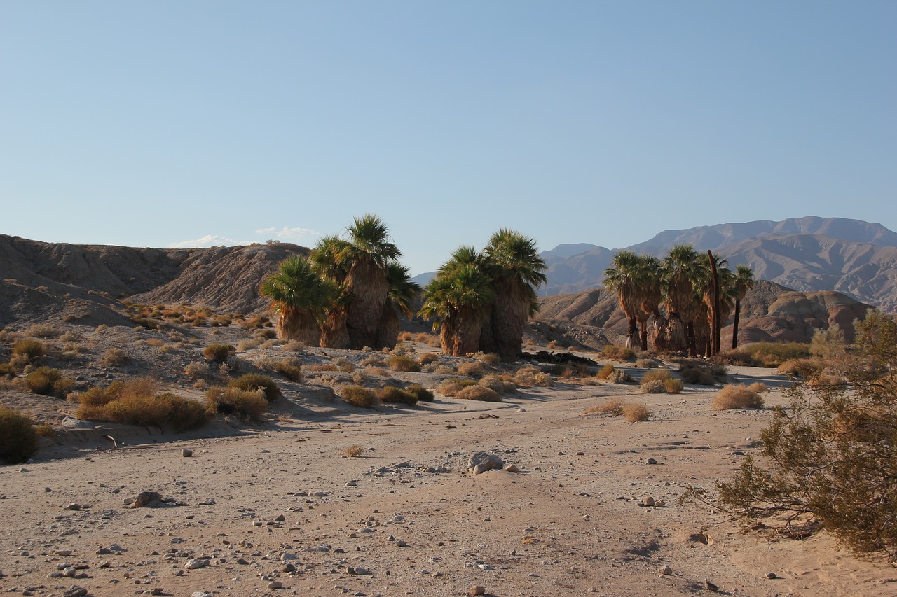 anza borrego desert california free photo