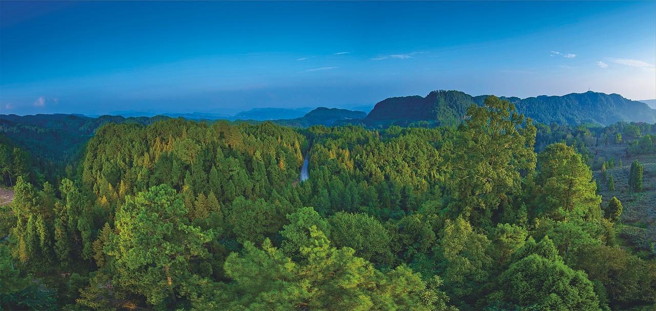 aoyama green water the castle free photo