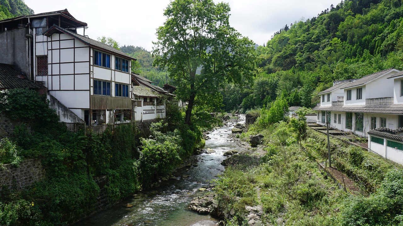 aoyama green water summer 1 free photo