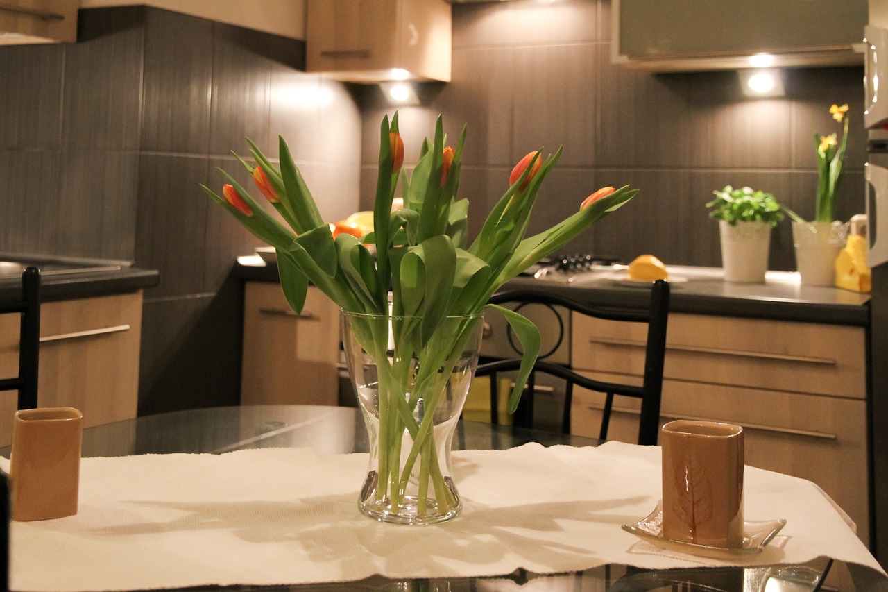 apartment flowers tulips free photo