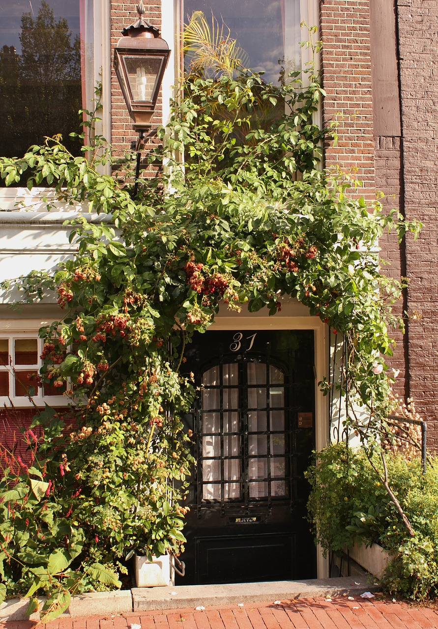 apartment input front door free photo