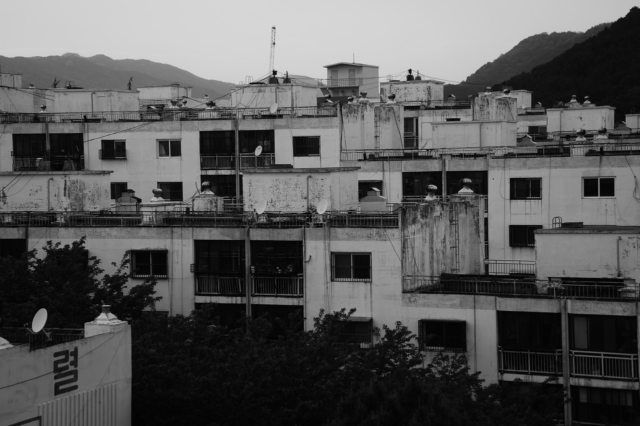 apartments black and white fear free photo