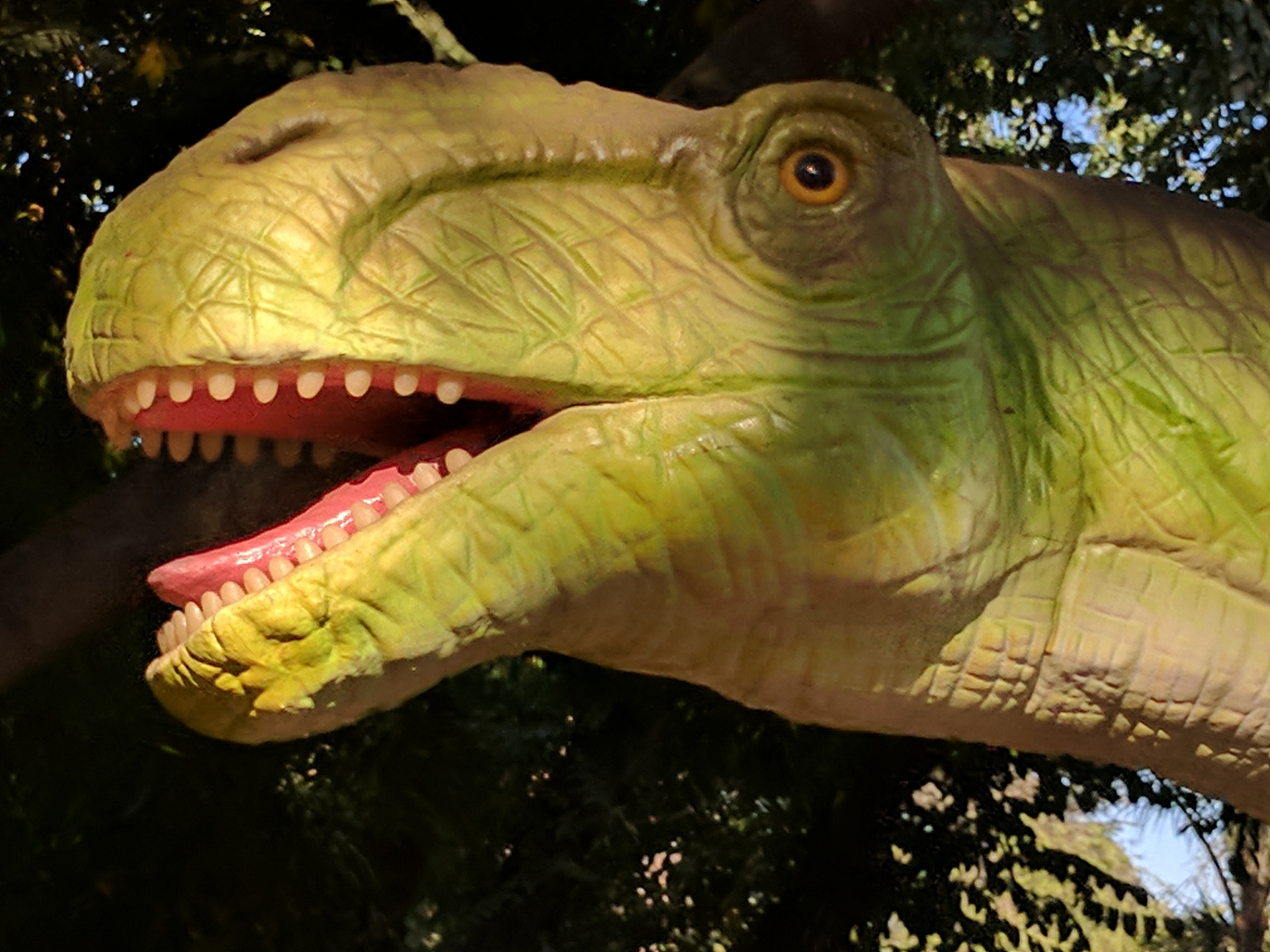 apatosaurus dinosaur dinosaurs free photo