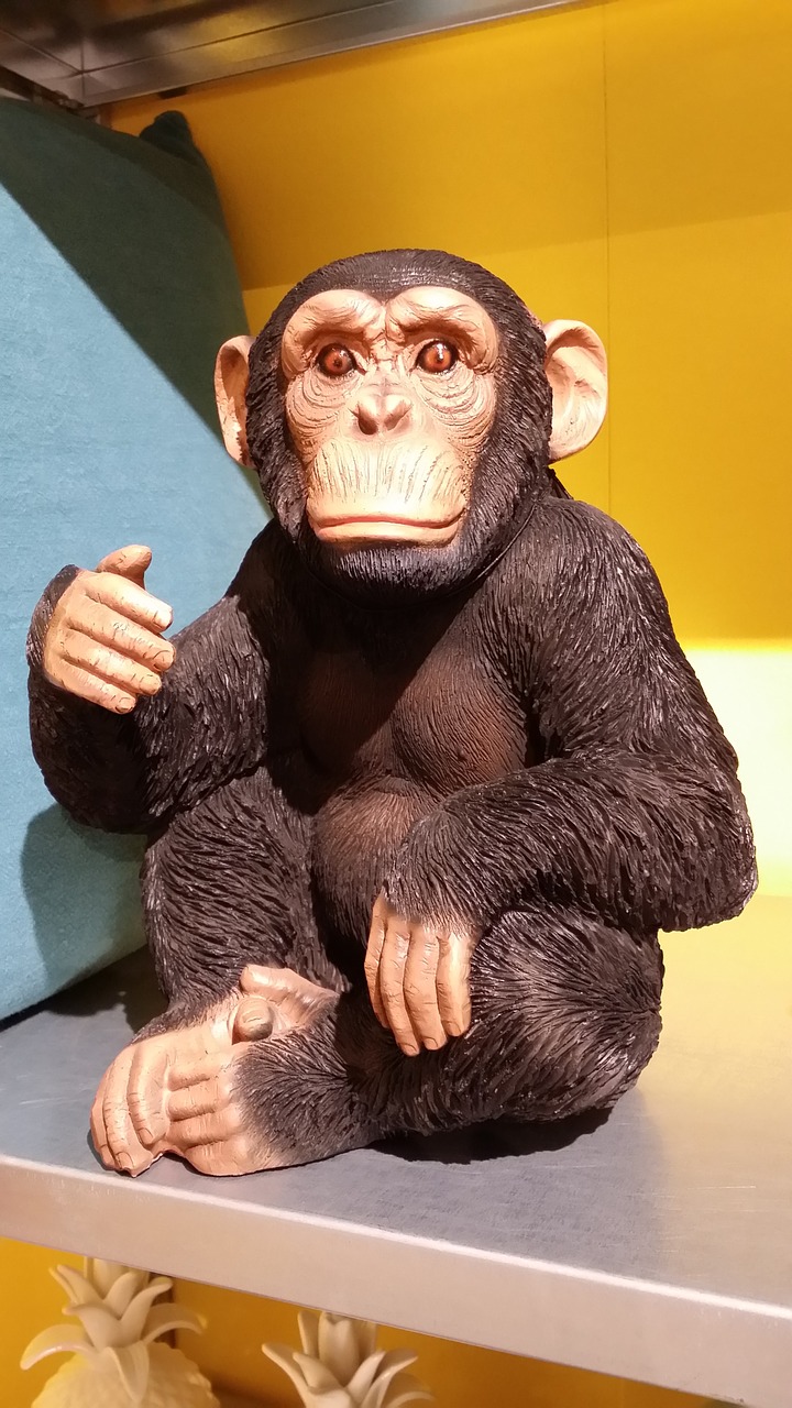 ape on shelving animal shopping free photo