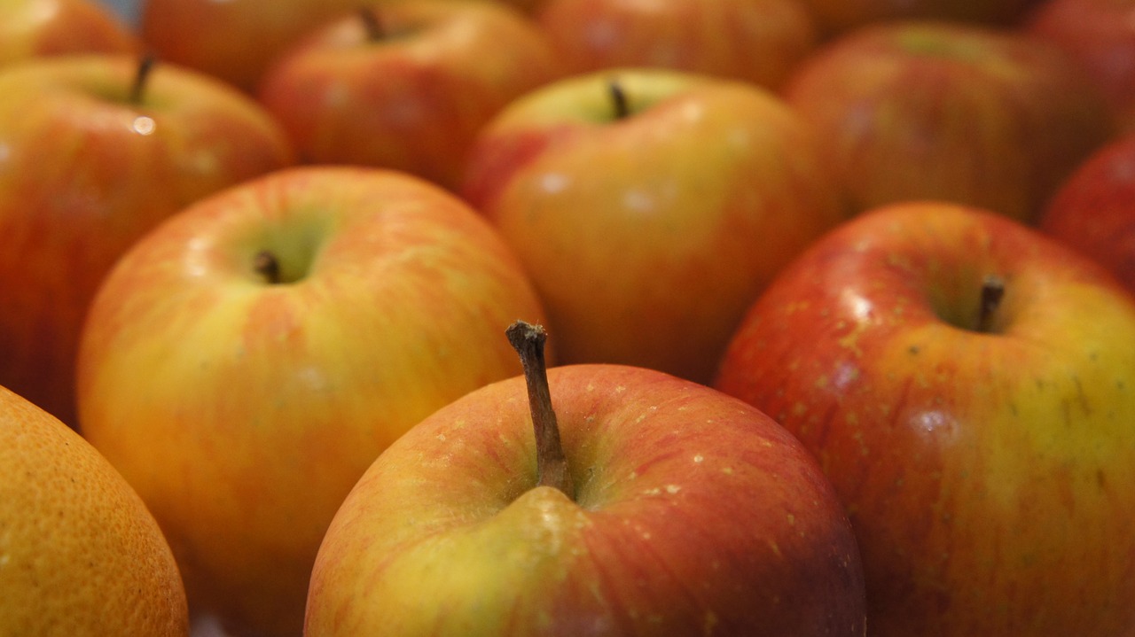 apel apple fruit fresh free photo