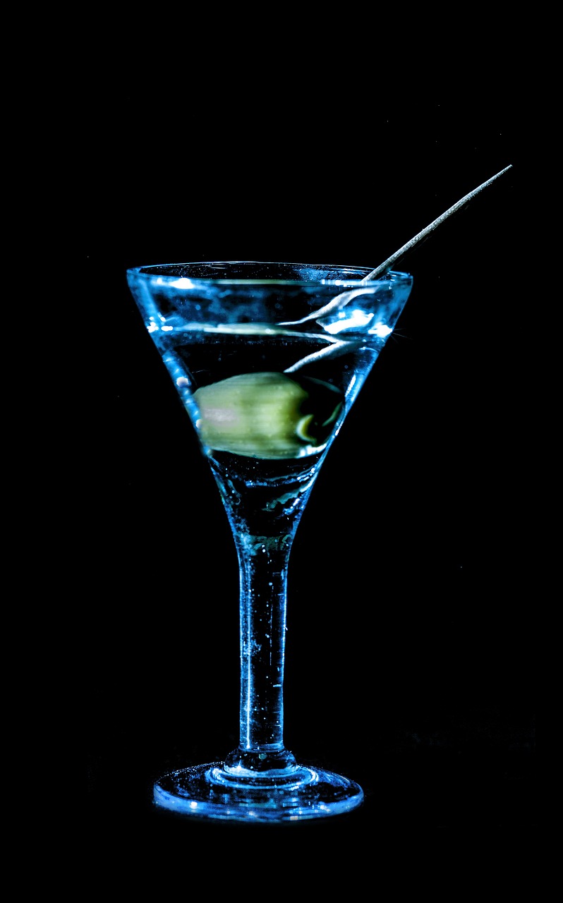 aperitif glass martini free photo