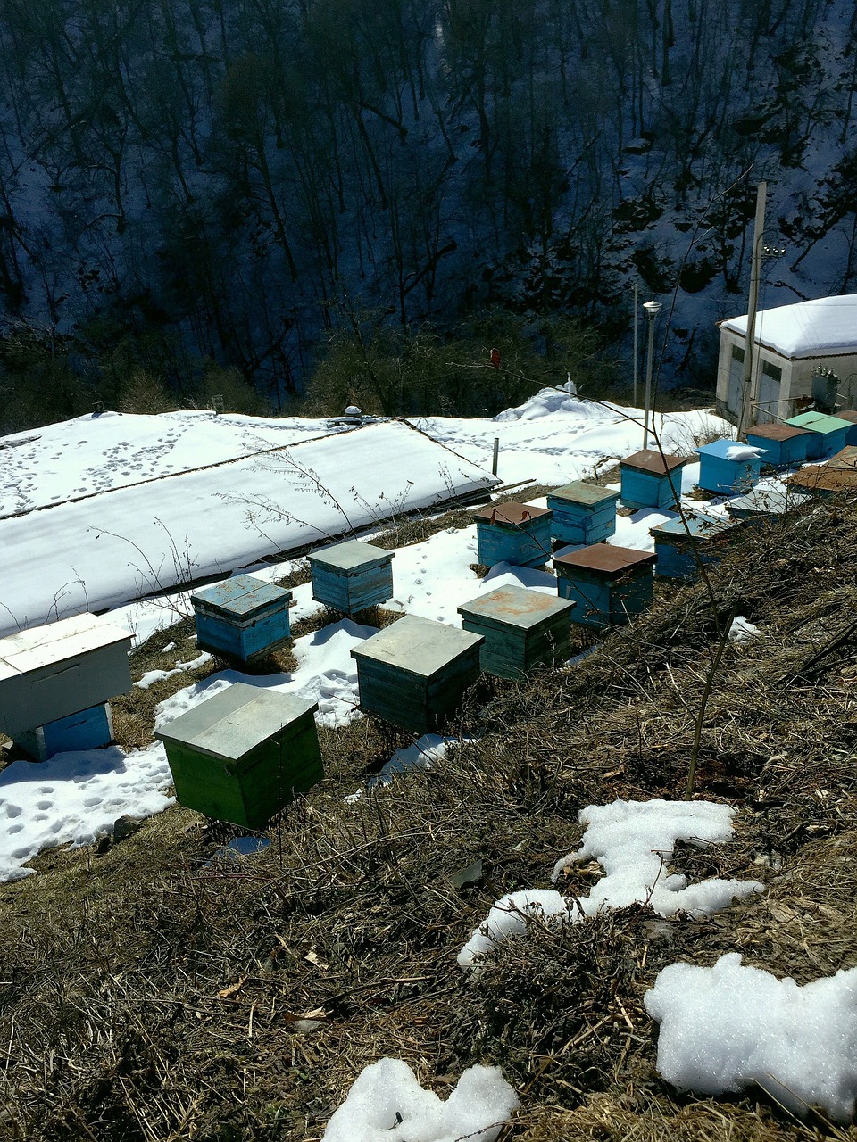 apiary apiary in the mountains apiary in surb haghartsin free photo