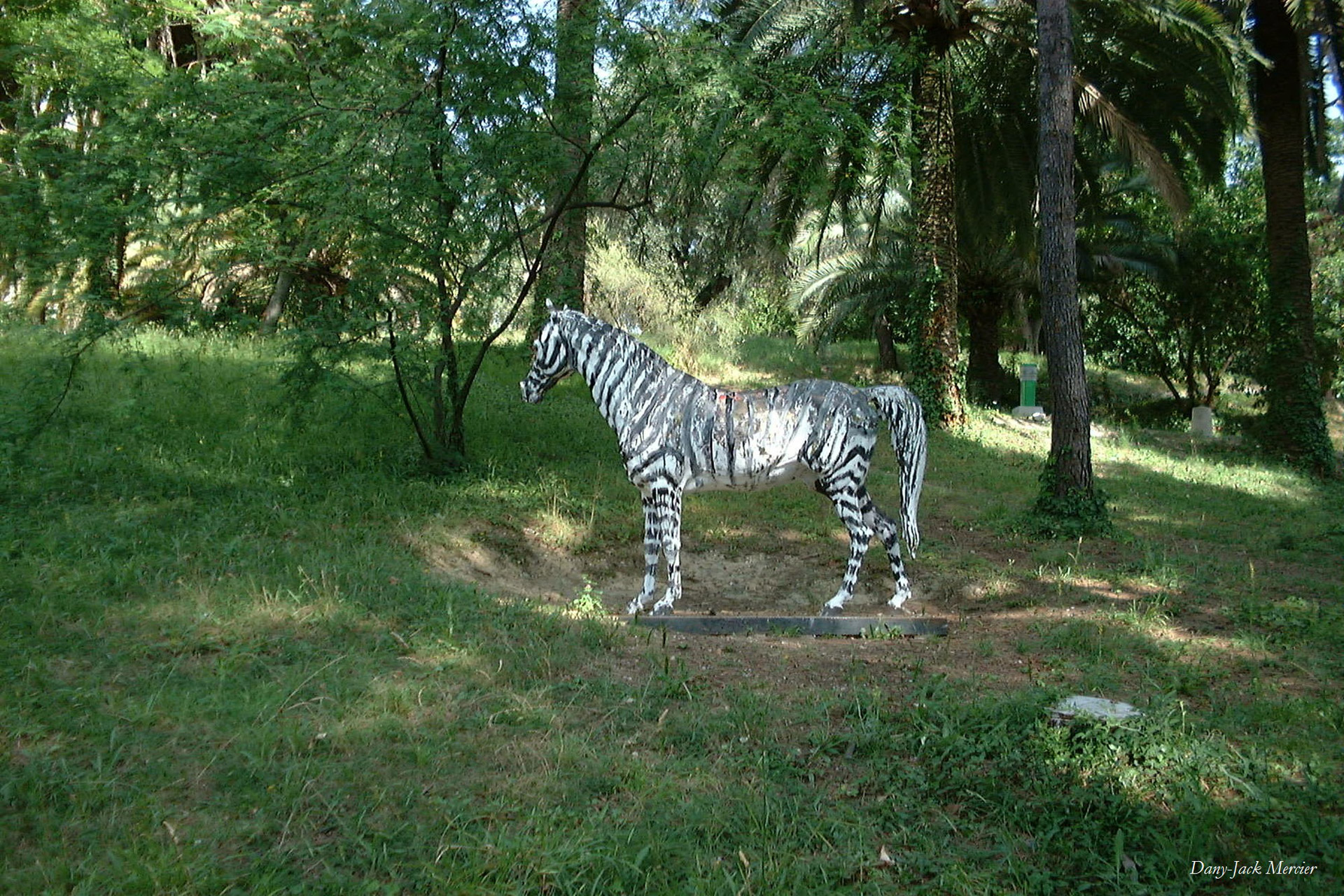 zebra park statue free photo