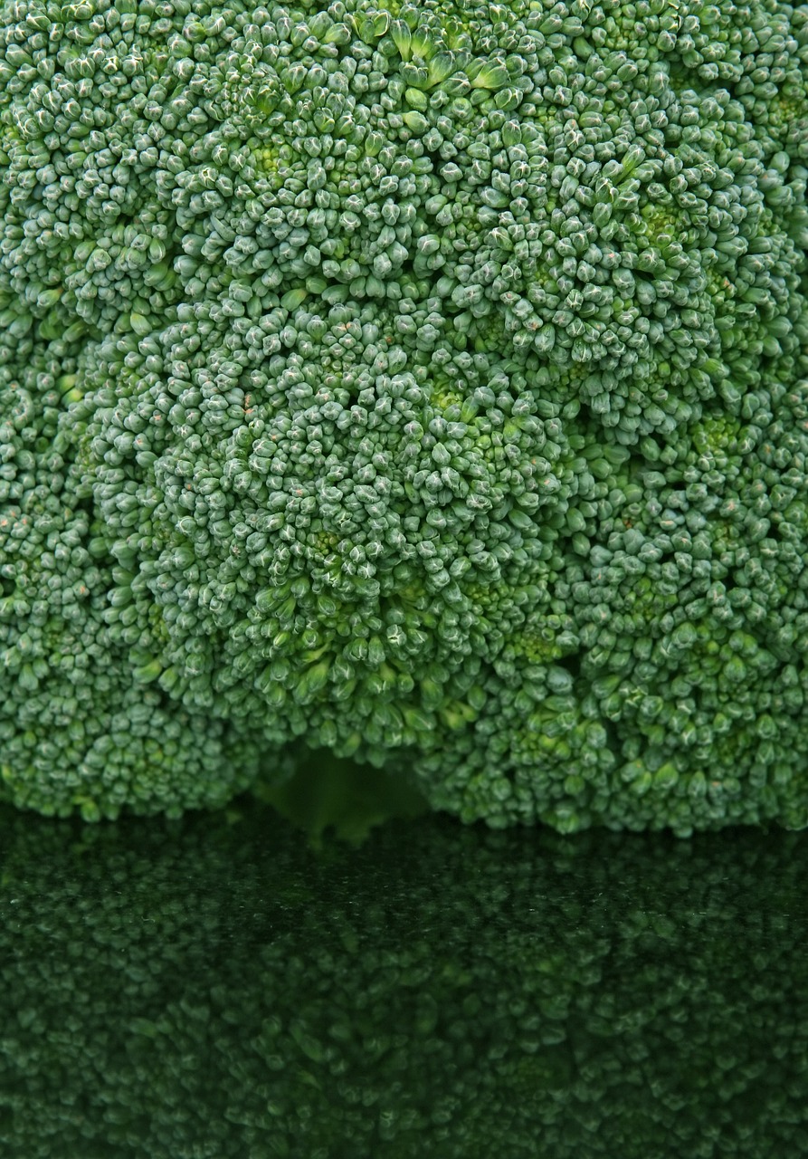 appetite broccoli brocoli broccolli free photo