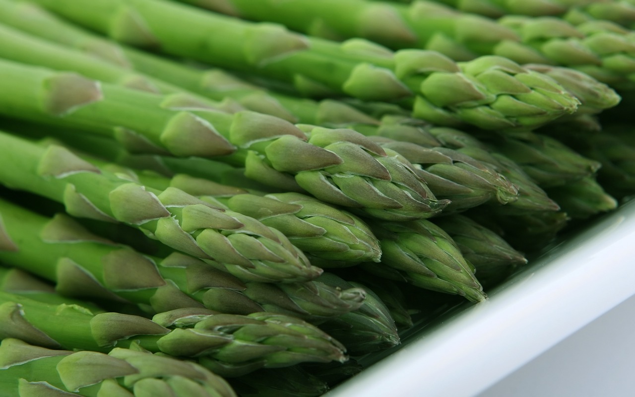 appetite asparagus calories free photo