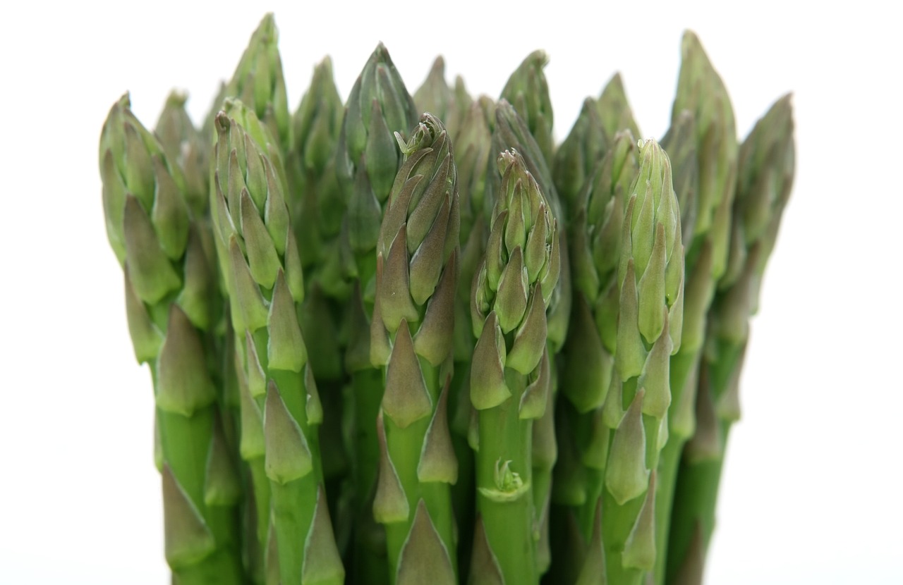 appetite asparagus calories free photo