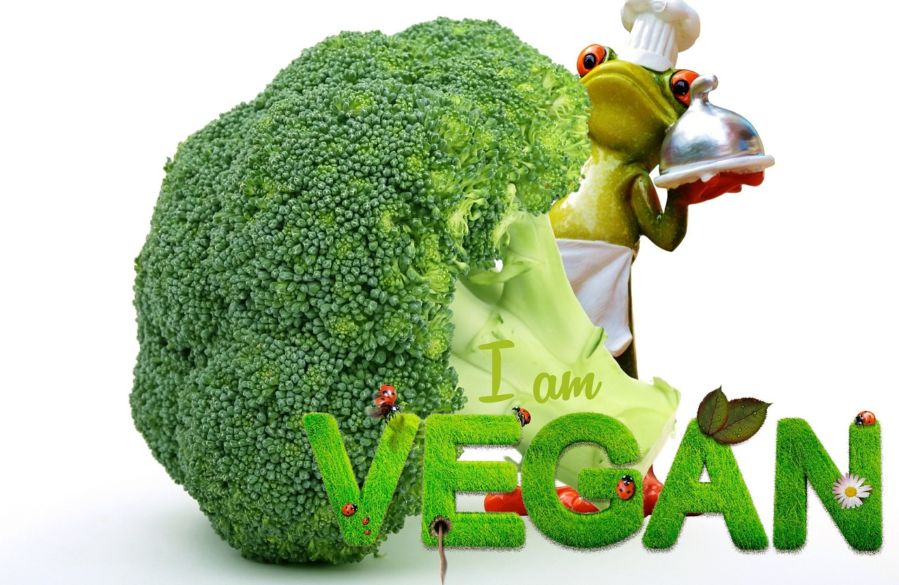 vegan appetite broccoli free photo