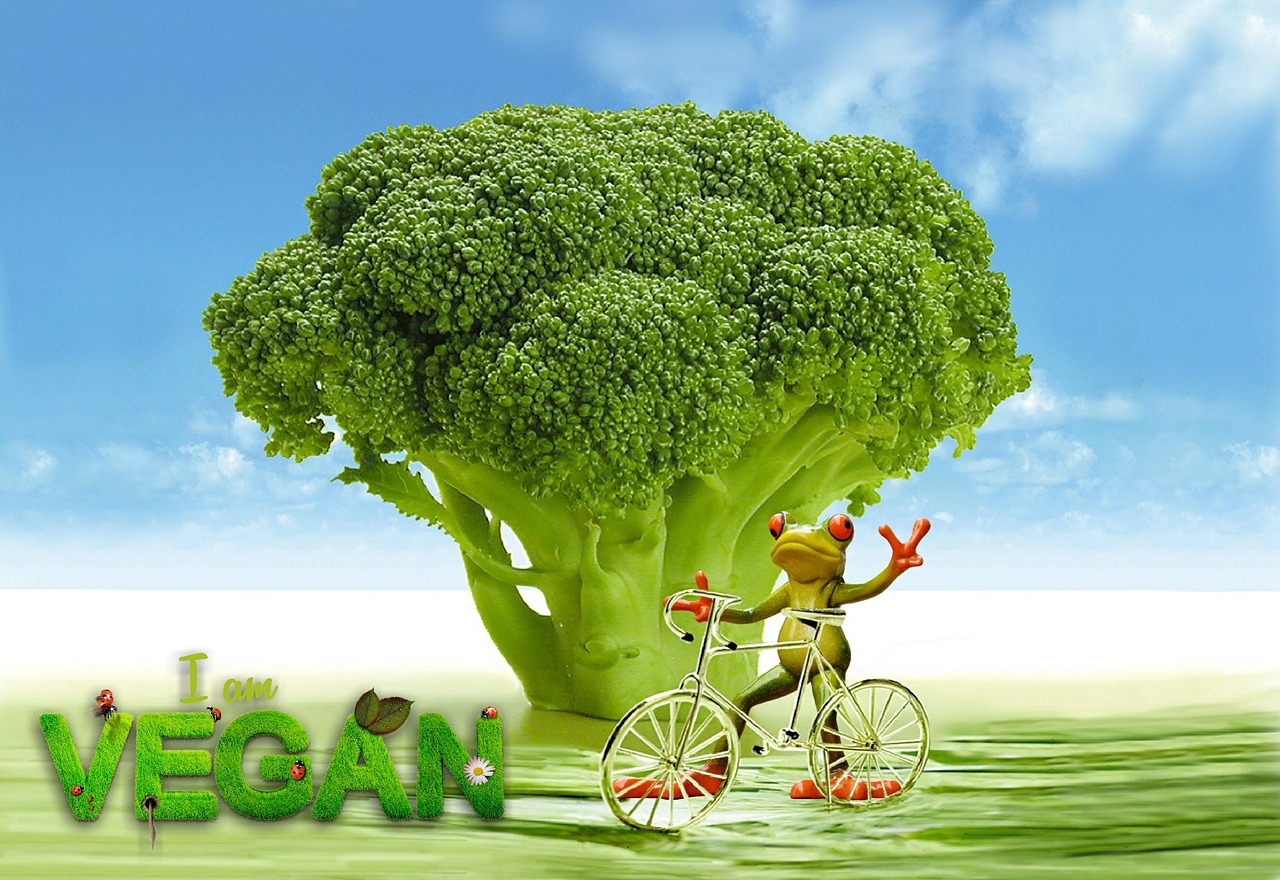 vegan appetite broccoli free photo
