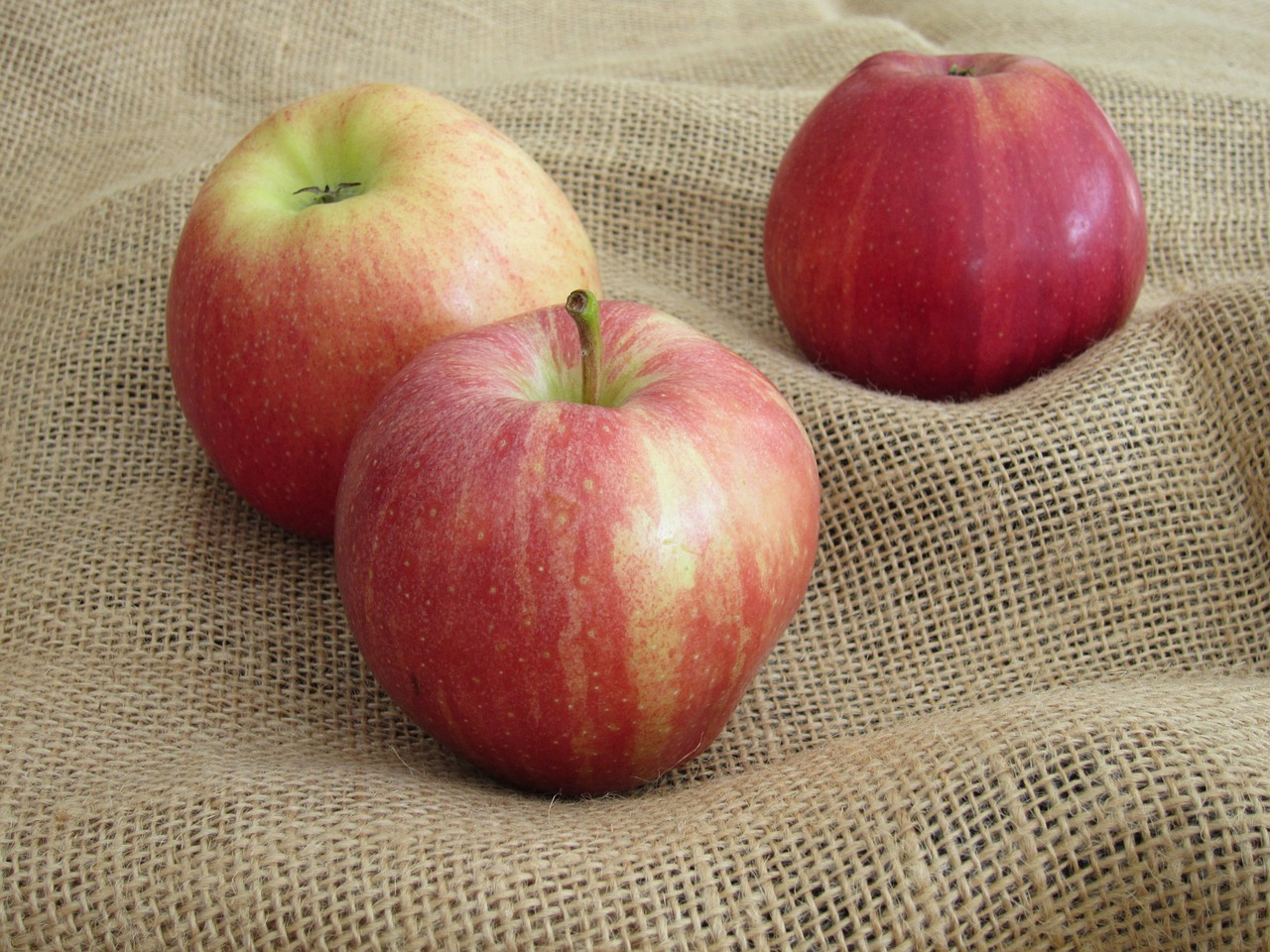 apple harvest fruit free photo