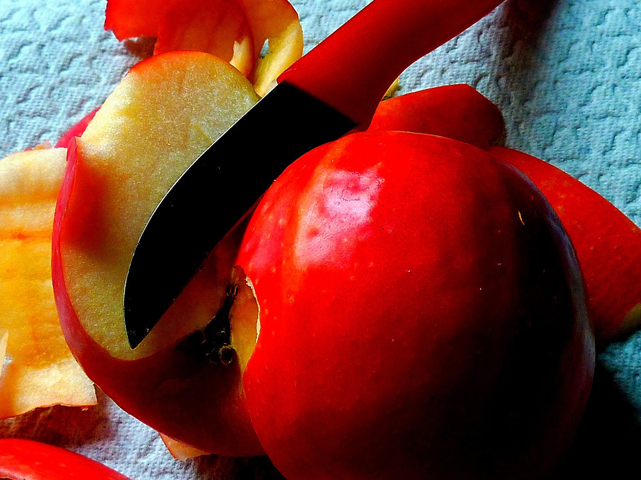 apple tree bucket free photo